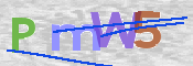 Obraz CAPTCHY