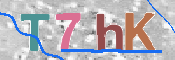 Obraz CAPTCHY