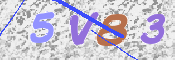 Obraz CAPTCHY