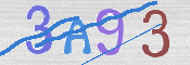 Obraz CAPTCHY