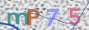 Obraz CAPTCHY